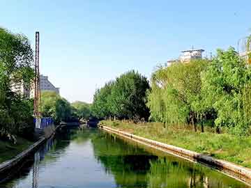 爱上海：Crossing the green tunnel through the bustling city： Shanghai's backyard garden!