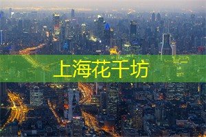 上海娱乐网：原创上海民宿 OTA 代运营 ｜ 外滩民宿淡季满房的运营妙方