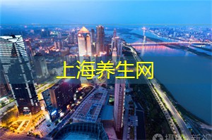 上海龙凤419：上海千年古银杏（8株完整篇）