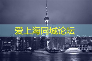 上海后花园论坛：加速崛起： 国产单机游戏如何保持发展“后劲”