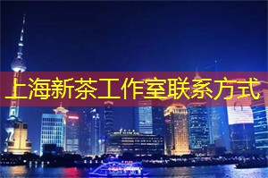 上海各区新茶工作室：限量抢票 _ 上海论坛迎来最炫嘉宾阵容！